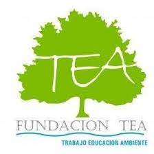 5° año E en la Fundación TEA